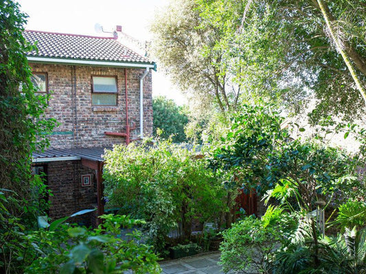 Surfs Up Ferreira Town Jeffreys Bay Eastern Cape South Africa Building, Architecture, House, Garden, Nature, Plant