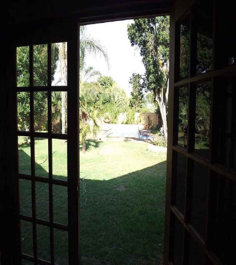 Suzi S Place Guest Rooms Lyttelton Centurion Gauteng South Africa Palm Tree, Plant, Nature, Wood, Framing, Garden