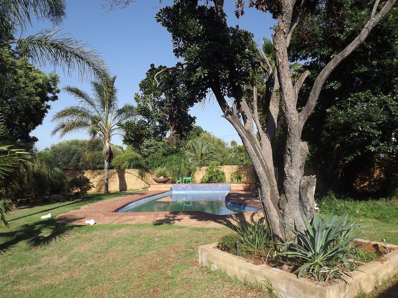 Suzi S Place Guest Rooms Lyttelton Centurion Gauteng South Africa Palm Tree, Plant, Nature, Wood, Garden, Swimming Pool