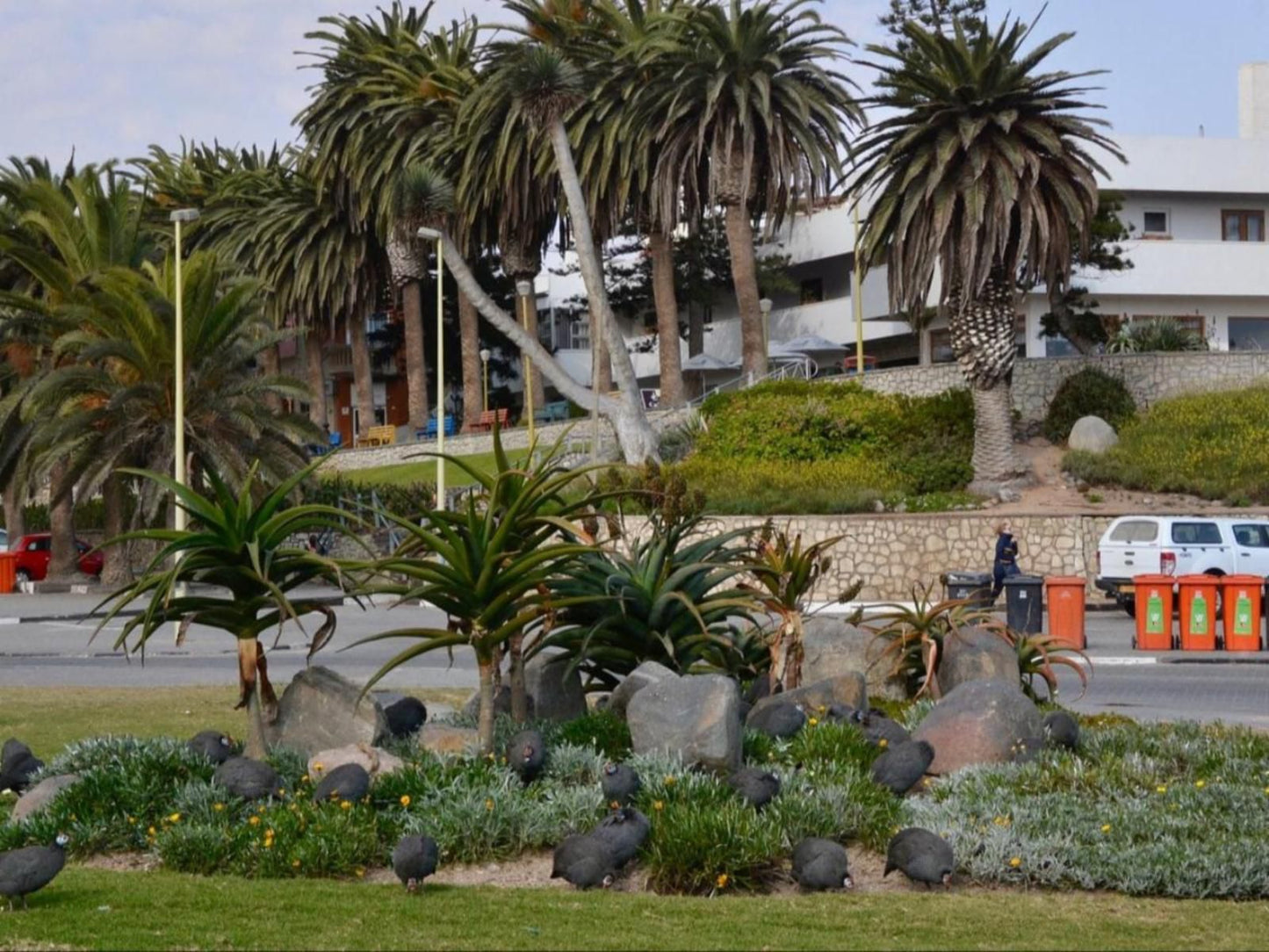 Swakopmund Luxury Suites, House, Building, Architecture, Palm Tree, Plant, Nature, Wood, Garden