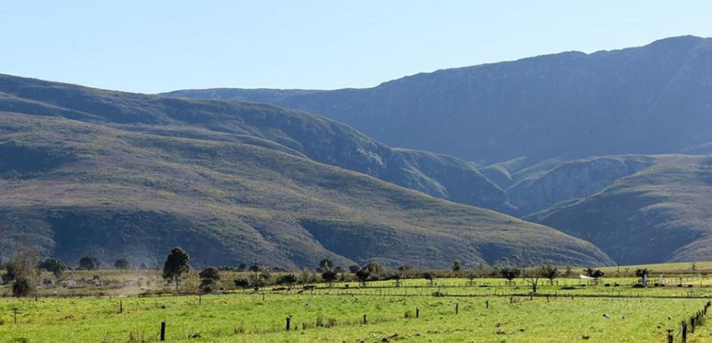 Swallow Creek Cottages Buffeljagsrivier Western Cape South Africa Complementary Colors, Highland, Nature