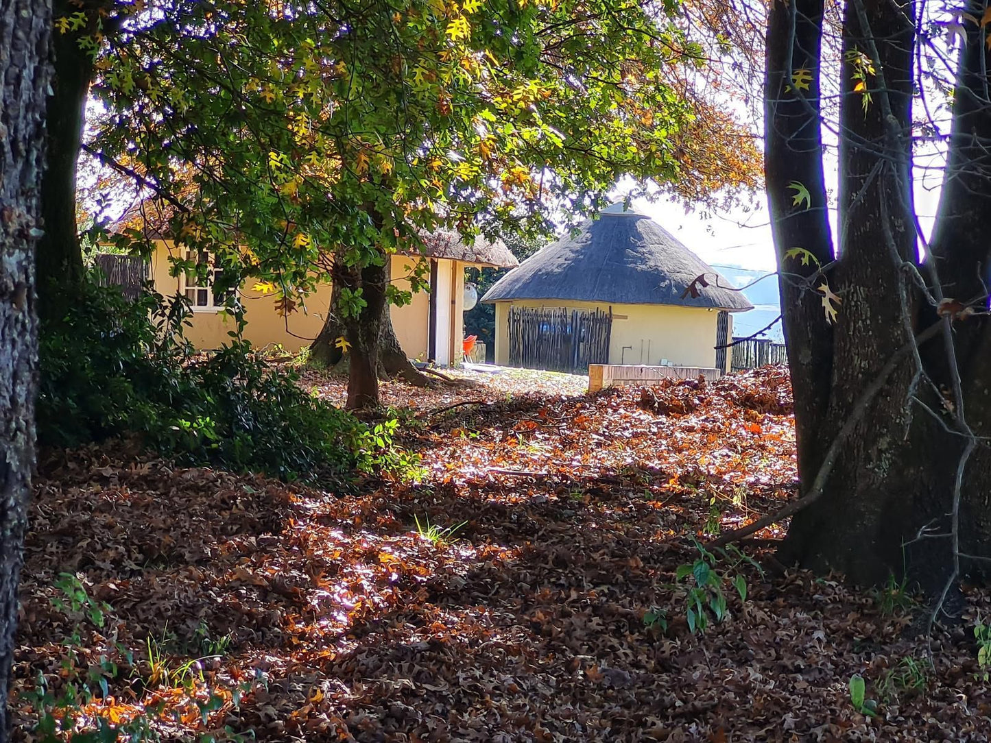 Swallowfield Rondavels Cathkin Park Kwazulu Natal South Africa House, Building, Architecture, Plant, Nature, Tree, Wood, Autumn