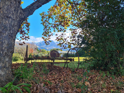 Swallowfield Rondavels Cathkin Park Kwazulu Natal South Africa 