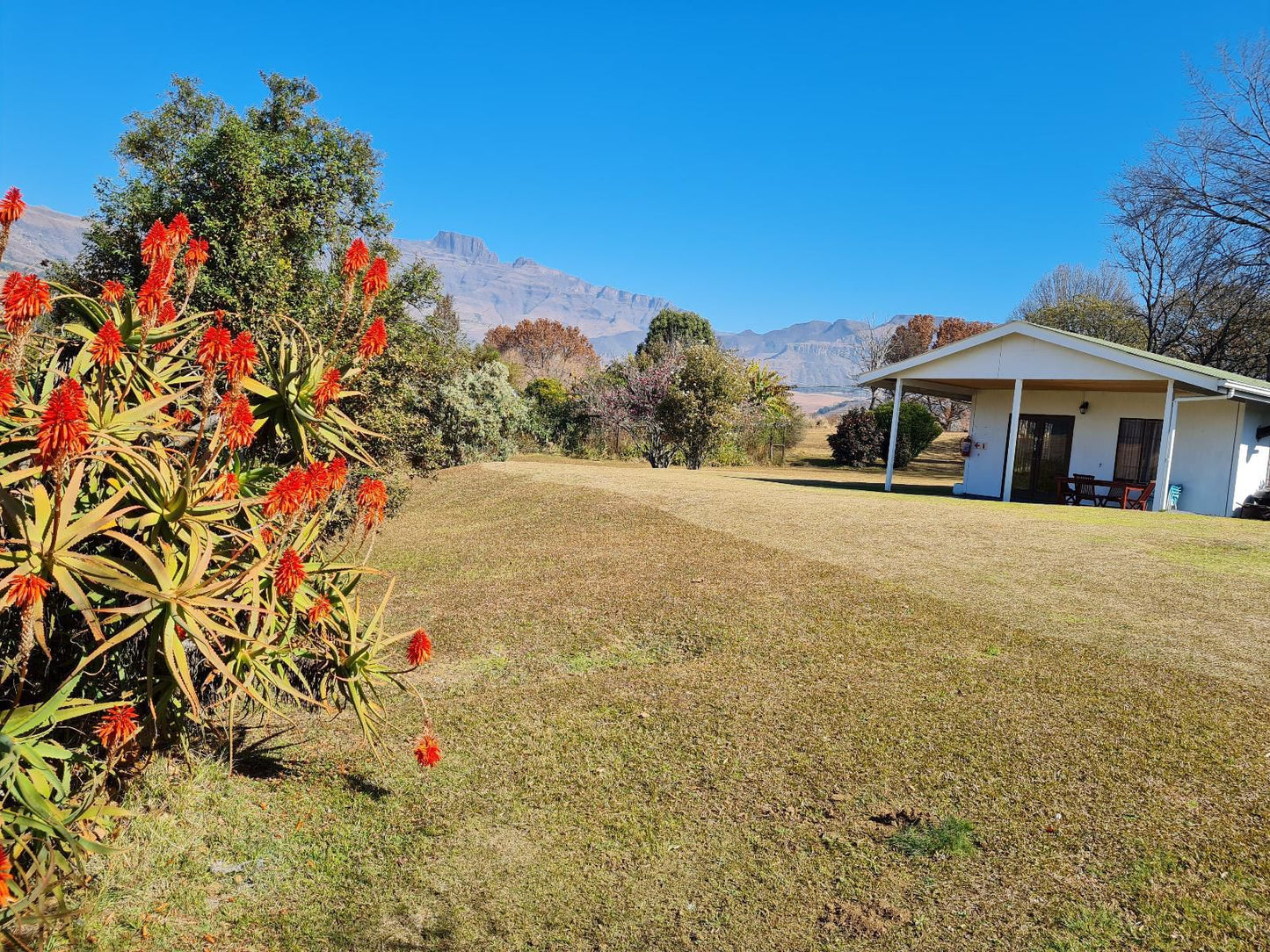 Swallowfield Rondavels Cathkin Park Kwazulu Natal South Africa Complementary Colors, Plant, Nature