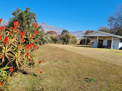 Swallowfield Rondavels Cathkin Park Kwazulu Natal South Africa Complementary Colors, Plant, Nature