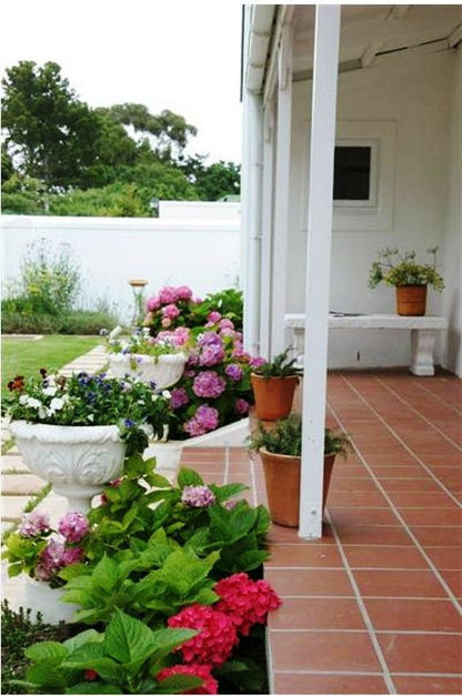 Swallow S Loft Hemel En Aarde Western Cape South Africa Balcony, Architecture, Bouquet Of Flowers, Flower, Plant, Nature, House, Building, Garden