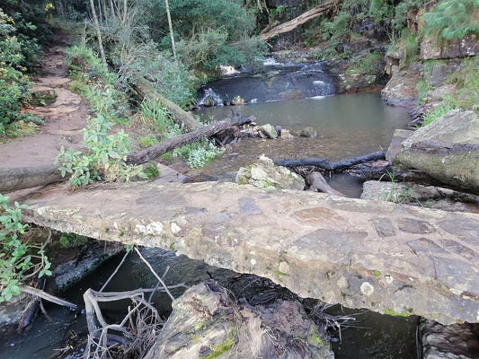 Swallowtail Country Estate Hogsback Eastern Cape South Africa Unsaturated, Reptile, Animal, River, Nature, Waters, Waterfall