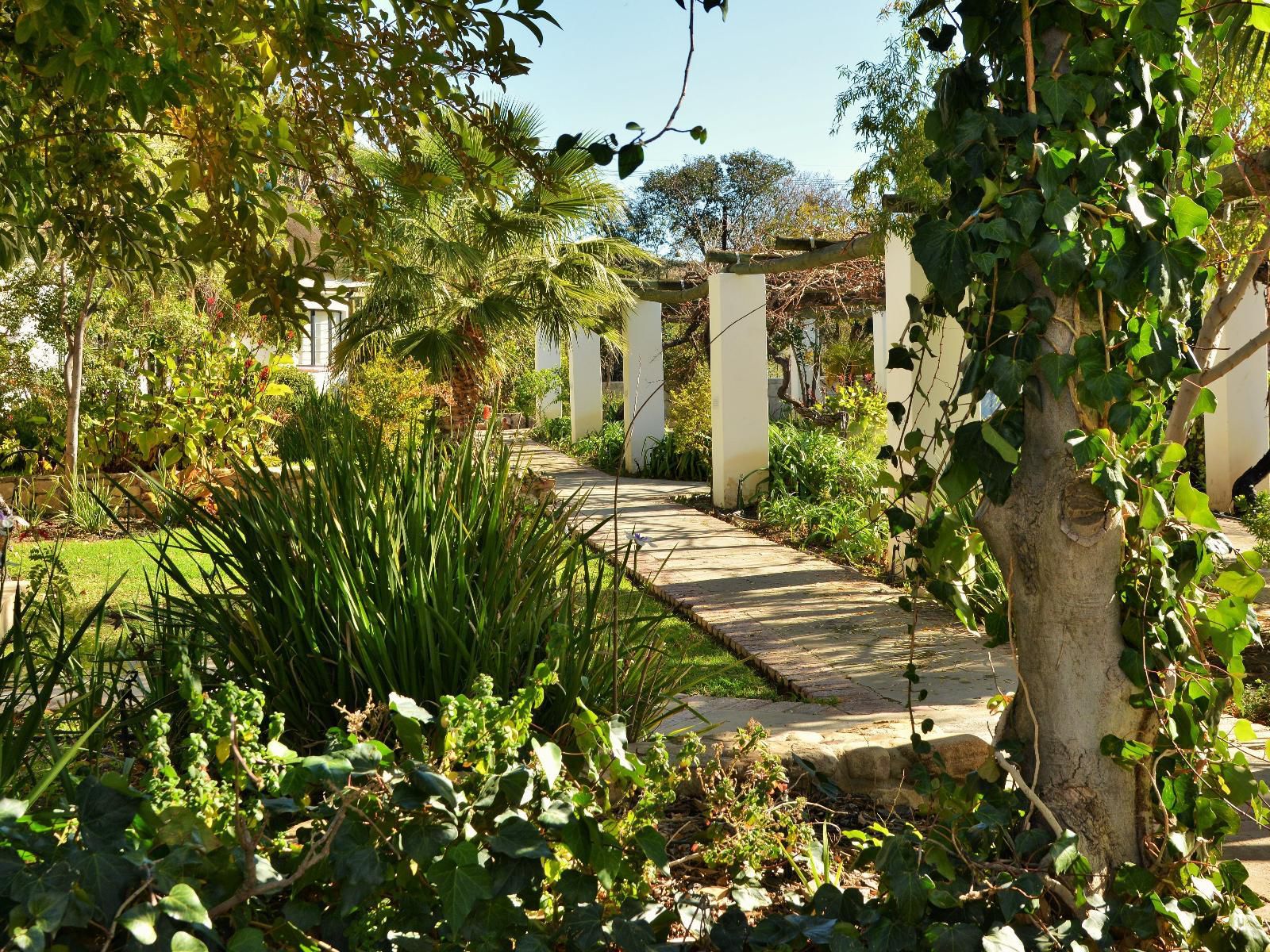 Swartberg Hotel, House, Building, Architecture, Plant, Nature, Garden