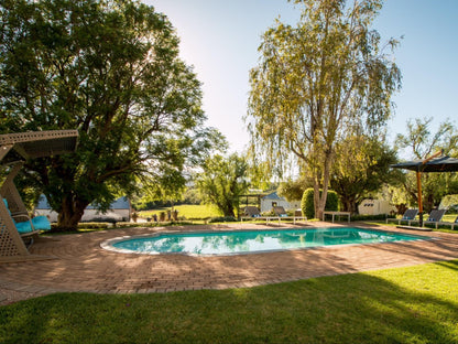 Swartberg Country Manor Oudtshoorn Western Cape South Africa Garden, Nature, Plant, Swimming Pool