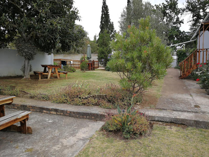 Swartberg Guest House Caledon Western Cape South Africa Plant, Nature