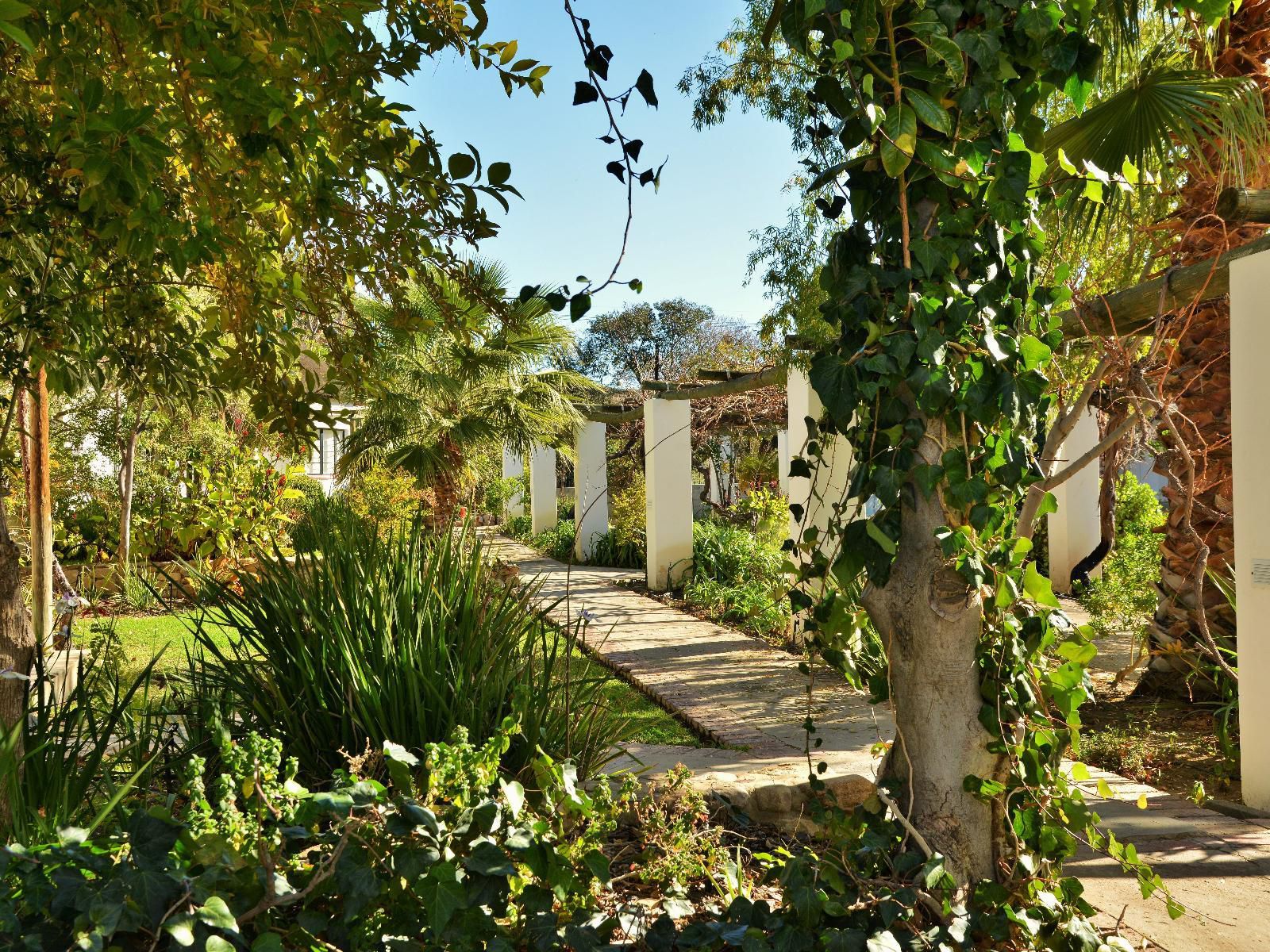 Mont D Or Swartberg Hotel Prince Albert Western Cape South Africa House, Building, Architecture, Palm Tree, Plant, Nature, Wood, Garden