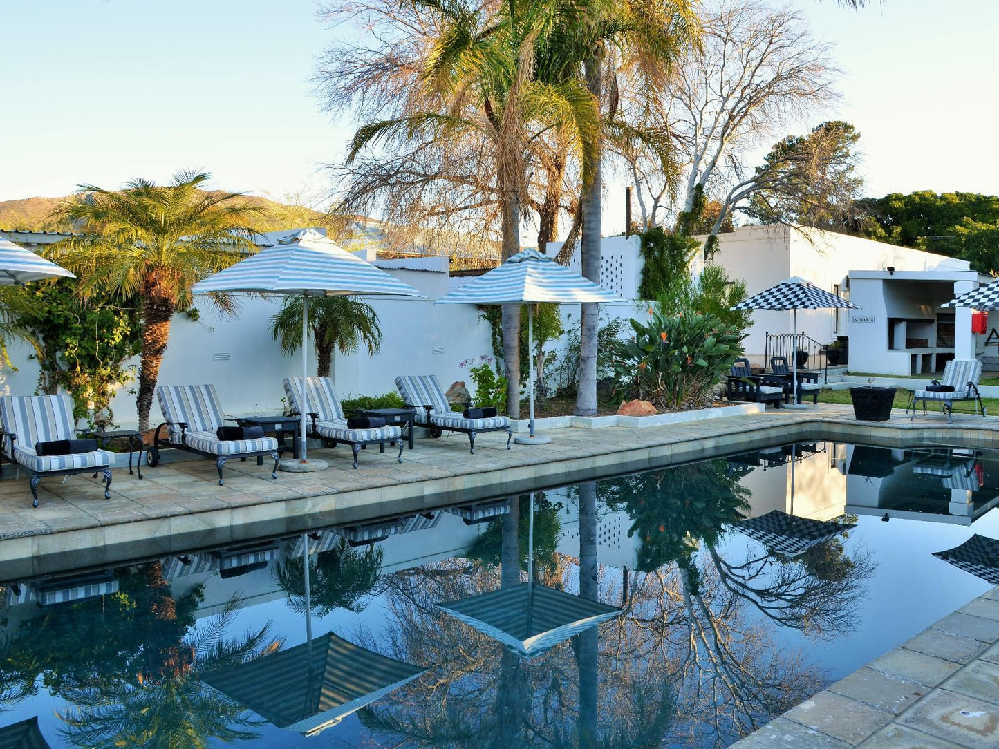 Mont D Or Swartberg Hotel Prince Albert Western Cape South Africa Palm Tree, Plant, Nature, Wood, Swimming Pool