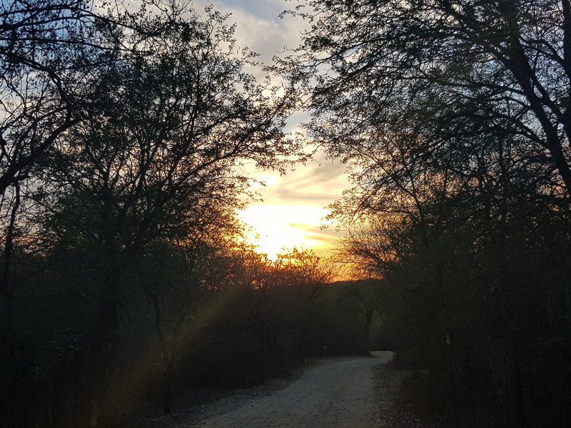Swartwitpens 2694 Marloth Park Marloth Park Mpumalanga South Africa Sky, Nature, Sunset