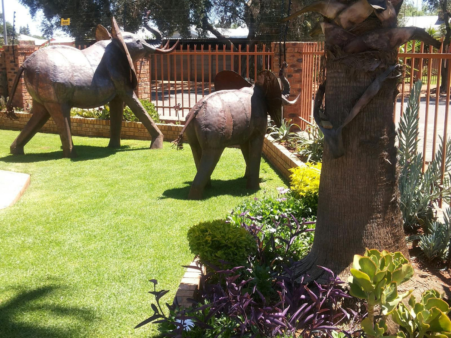 Sweet Dreams Guesthouse Kimberley Northern Cape South Africa Elephant, Mammal, Animal, Herbivore, Garden, Nature, Plant