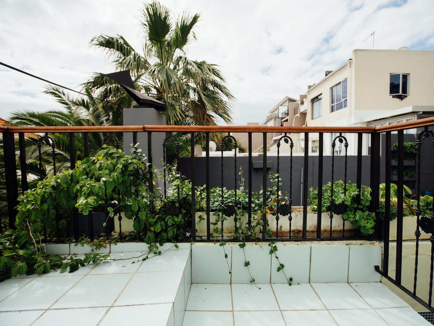 Sweetest Apartments Sea Point Cape Town Western Cape South Africa Balcony, Architecture, House, Building, Palm Tree, Plant, Nature, Wood, Garden