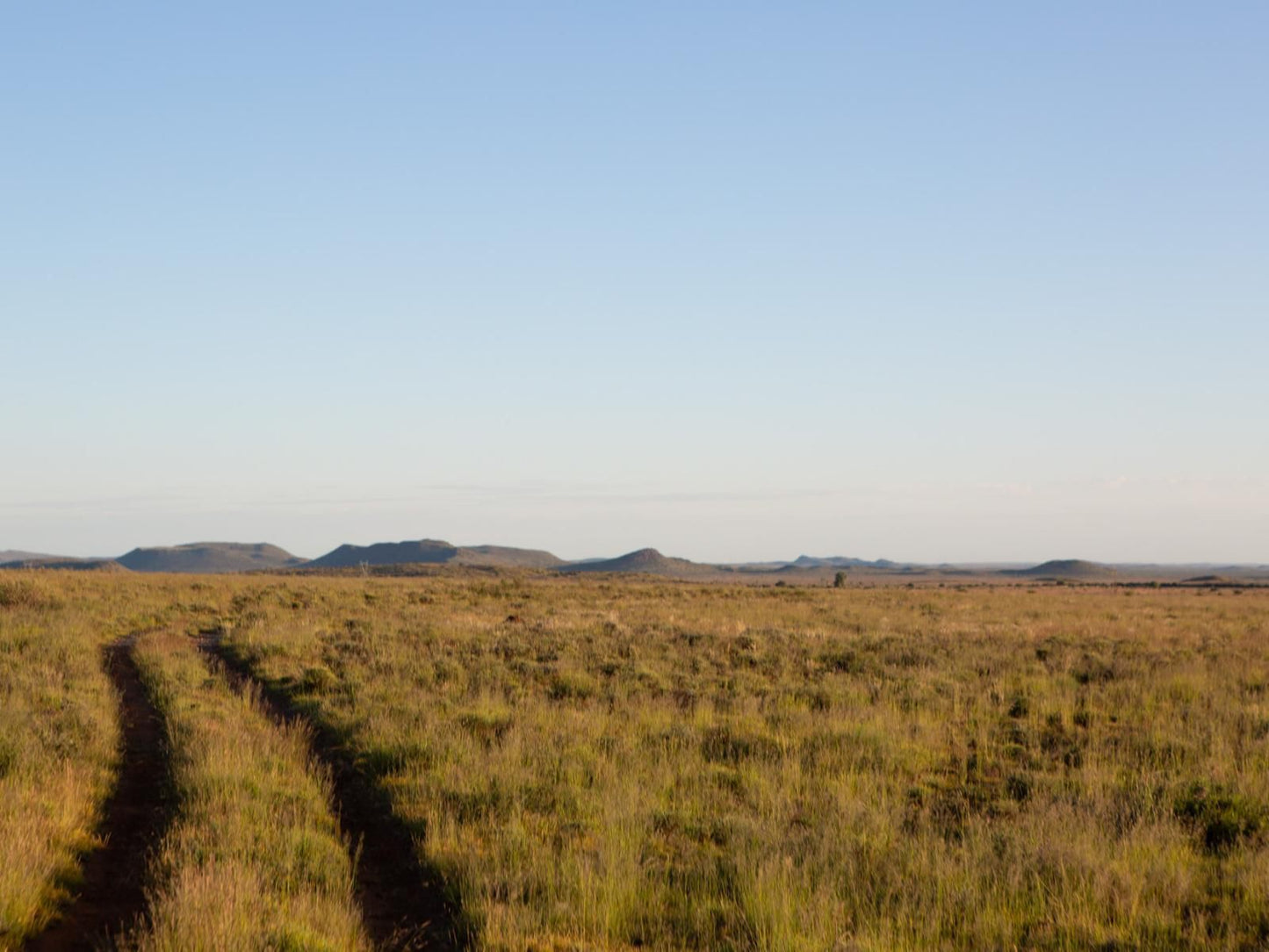 Sweetfontein Boutique Farm Lodge Britstown Northern Cape South Africa Complementary Colors, Desert, Nature, Sand, Lowland