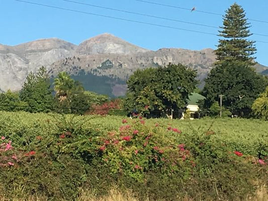 Sweetwater Guesthouse Wellington Western Cape South Africa Complementary Colors, Meadow, Nature, Mountain, Highland