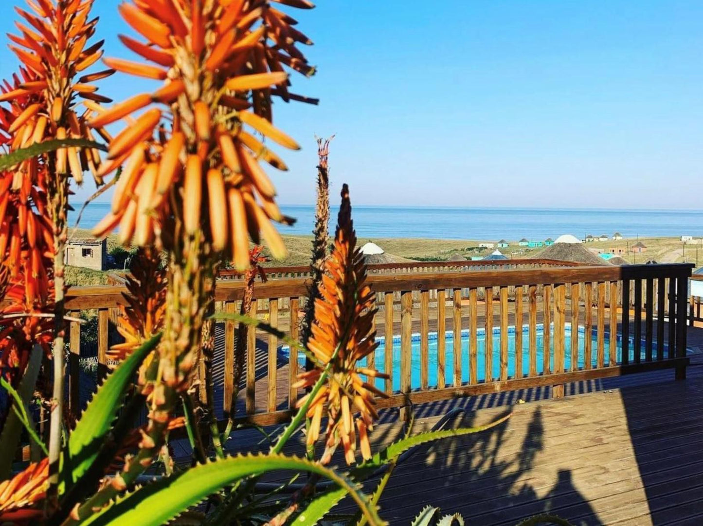 Swell Eco Lodge Mdumbi Beach Eastern Cape South Africa Complementary Colors, Beach, Nature, Sand, Plant