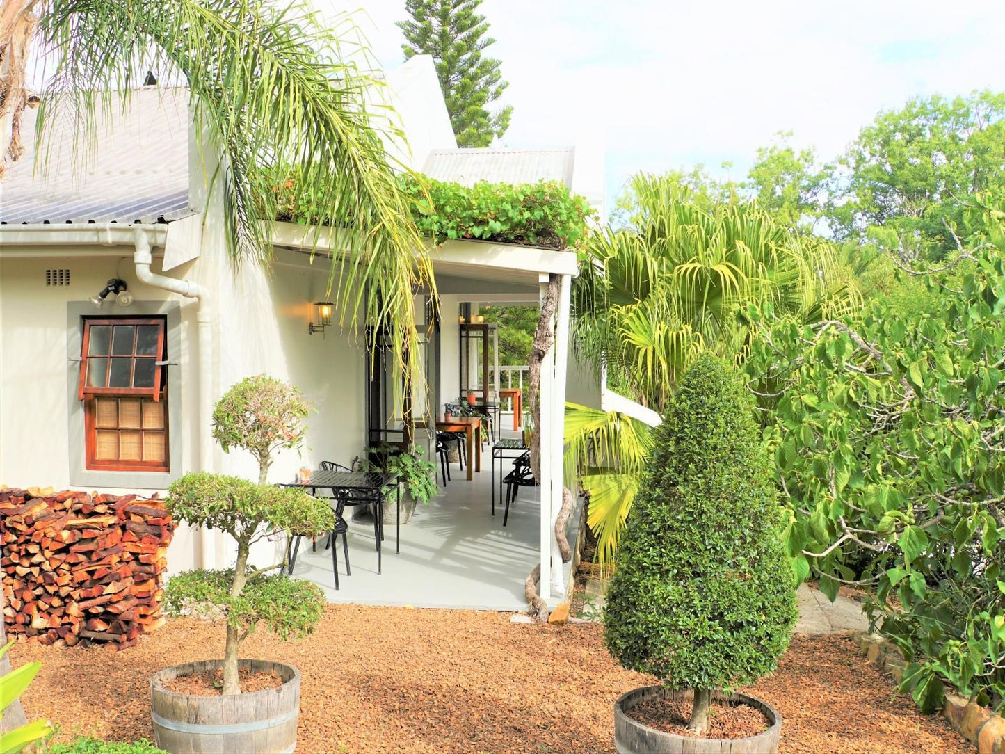 Swellendam Country Lodge Swellendam Western Cape South Africa House, Building, Architecture, Palm Tree, Plant, Nature, Wood, Garden