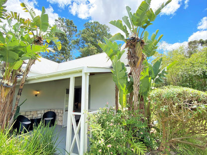 Swellendam Country Lodge Swellendam Western Cape South Africa Palm Tree, Plant, Nature, Wood