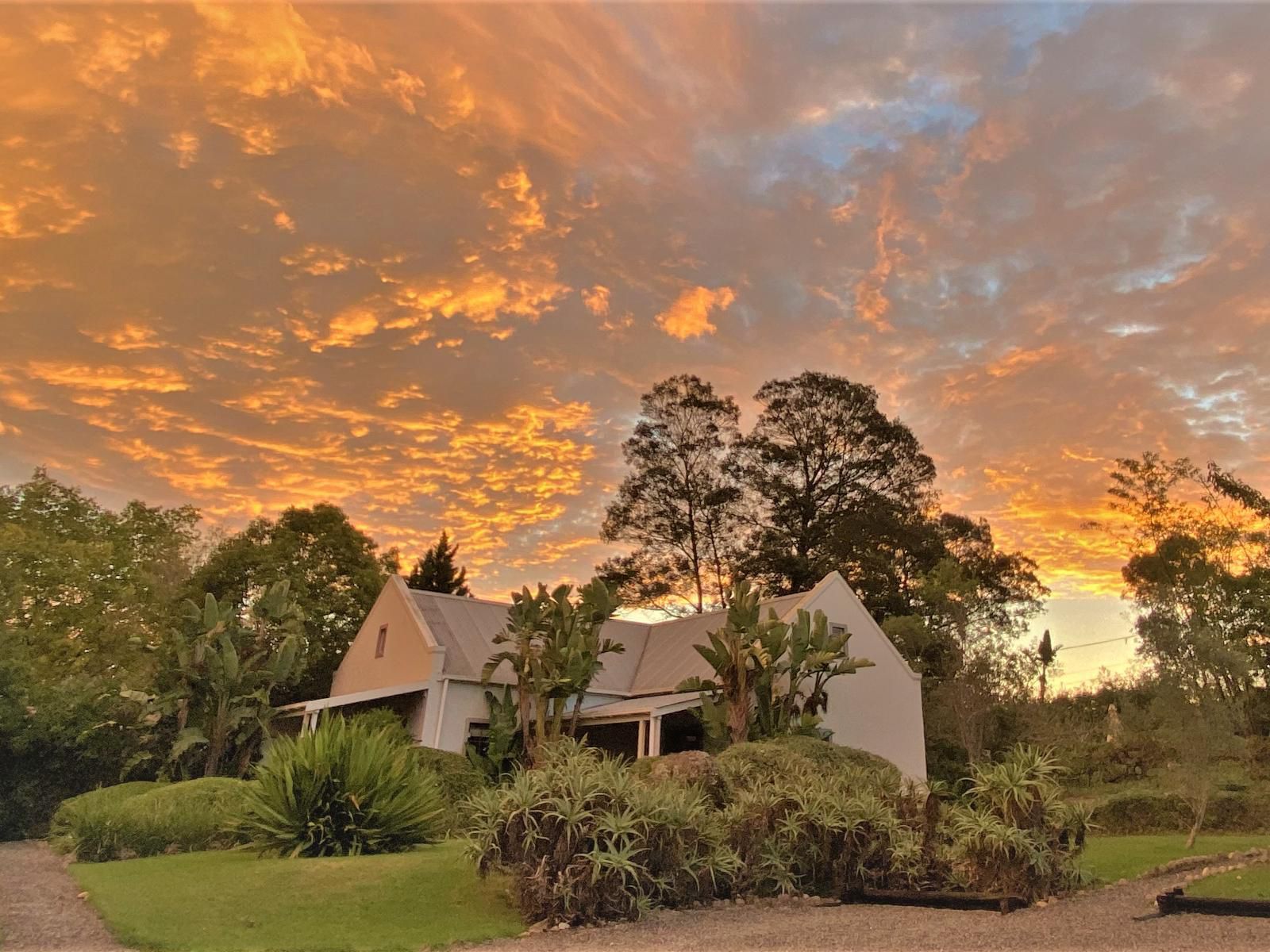 Swellendam Country Lodge Swellendam Western Cape South Africa Sepia Tones, Palm Tree, Plant, Nature, Wood, Sky, Sunset