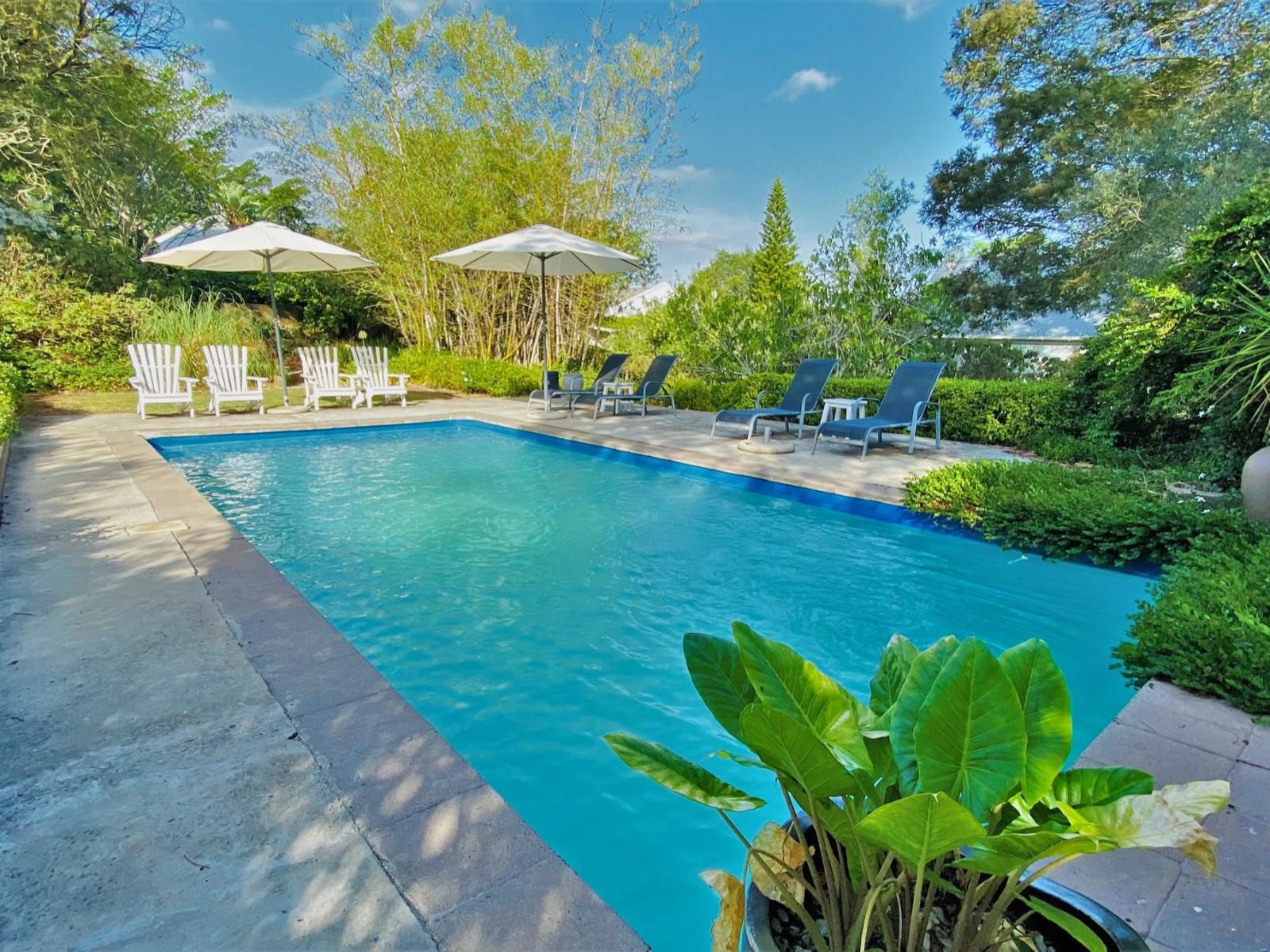 Swellendam Country Lodge Swellendam Western Cape South Africa Complementary Colors, Garden, Nature, Plant, Swimming Pool