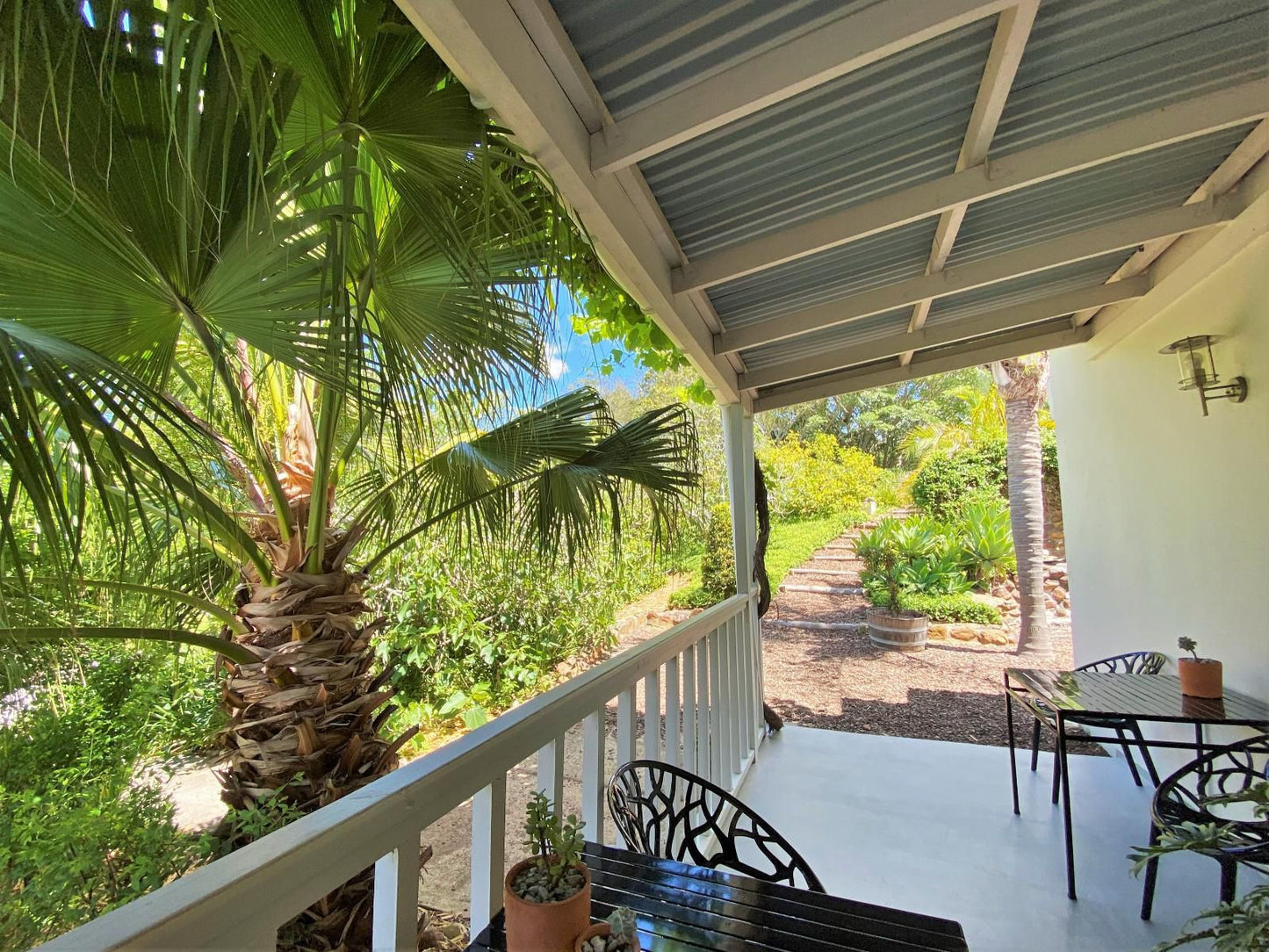 Swellendam Country Lodge Swellendam Western Cape South Africa Palm Tree, Plant, Nature, Wood