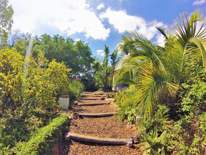 Swellendam Country Lodge Swellendam Western Cape South Africa Palm Tree, Plant, Nature, Wood