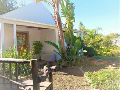 Swellendam Country Lodge Swellendam Western Cape South Africa Complementary Colors, Palm Tree, Plant, Nature, Wood