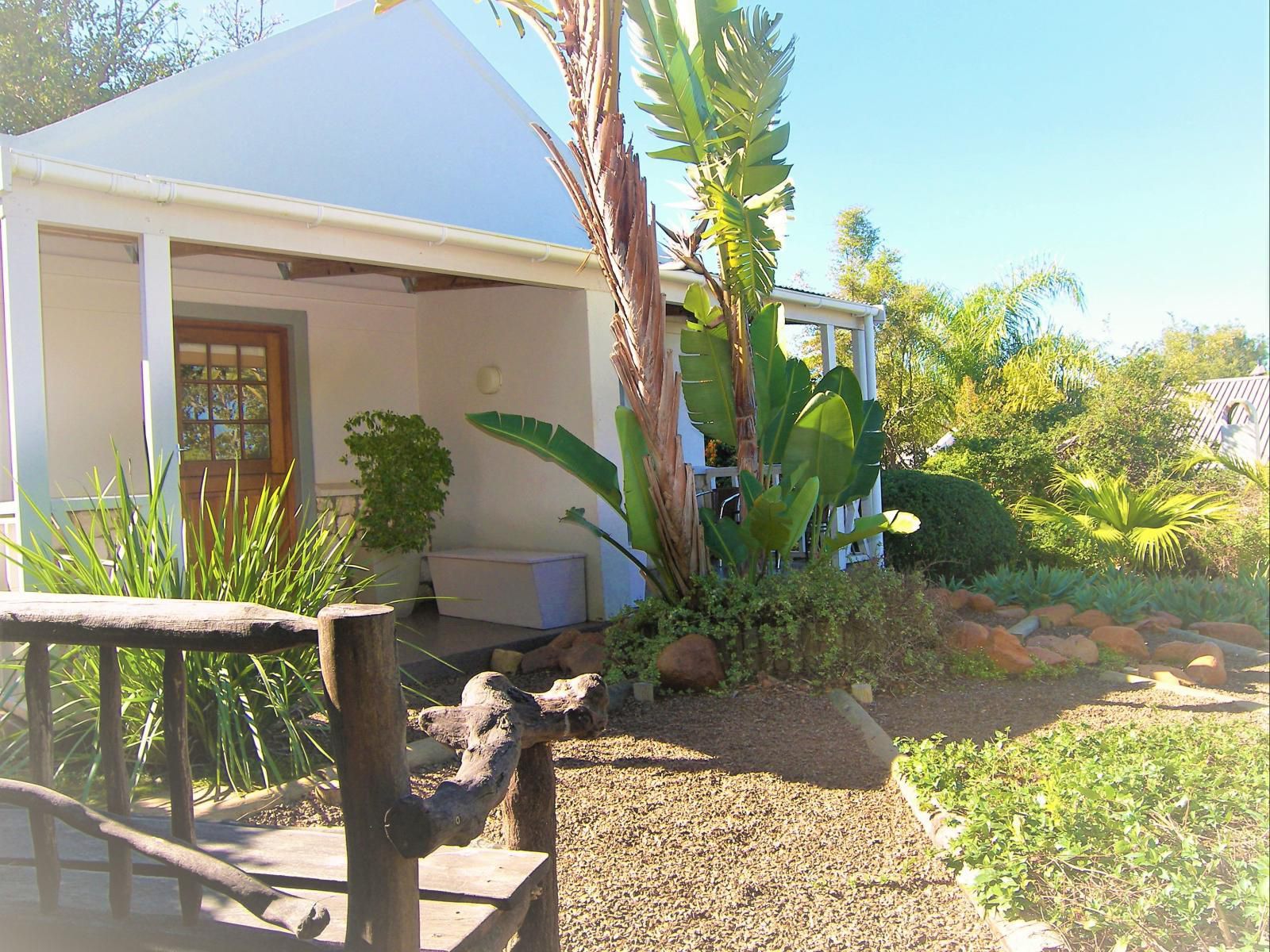 Swellendam Country Lodge Swellendam Western Cape South Africa Complementary Colors, Palm Tree, Plant, Nature, Wood, Garden