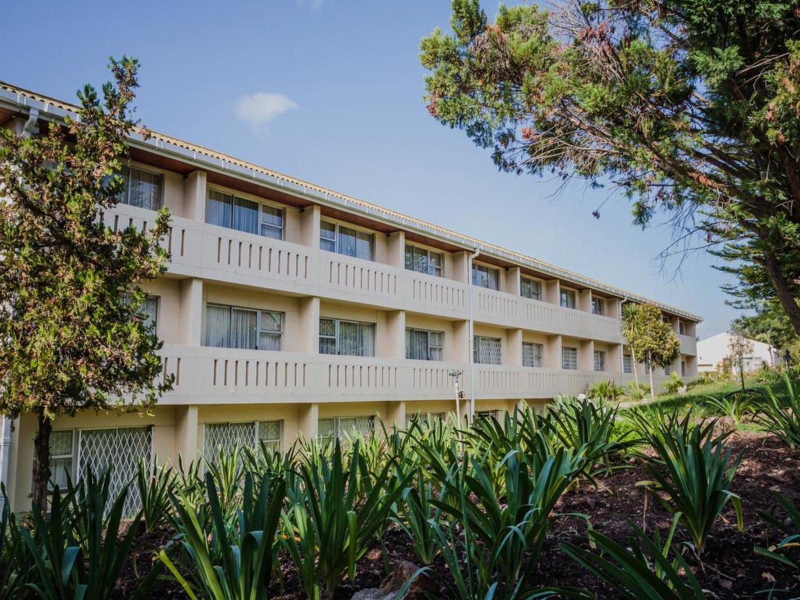 Swellengrebel Hotel Swellendam Western Cape South Africa Complementary Colors, House, Building, Architecture, Palm Tree, Plant, Nature, Wood