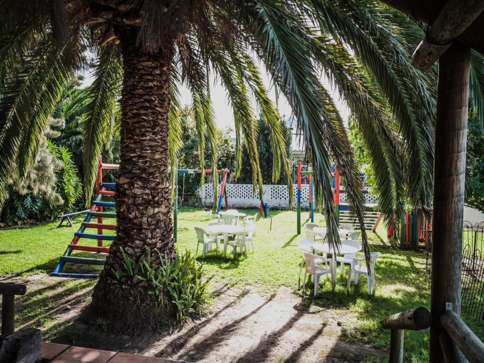 Swellengrebel Hotel Swellendam Western Cape South Africa Palm Tree, Plant, Nature, Wood