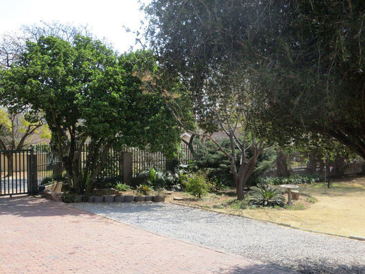 Swiss Guest House Ferndale Ridge Johannesburg Gauteng South Africa Palm Tree, Plant, Nature, Wood, Garden