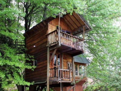 Sycamore Avenue Treehouses Mooi River Kwazulu Natal South Africa Cabin, Building, Architecture