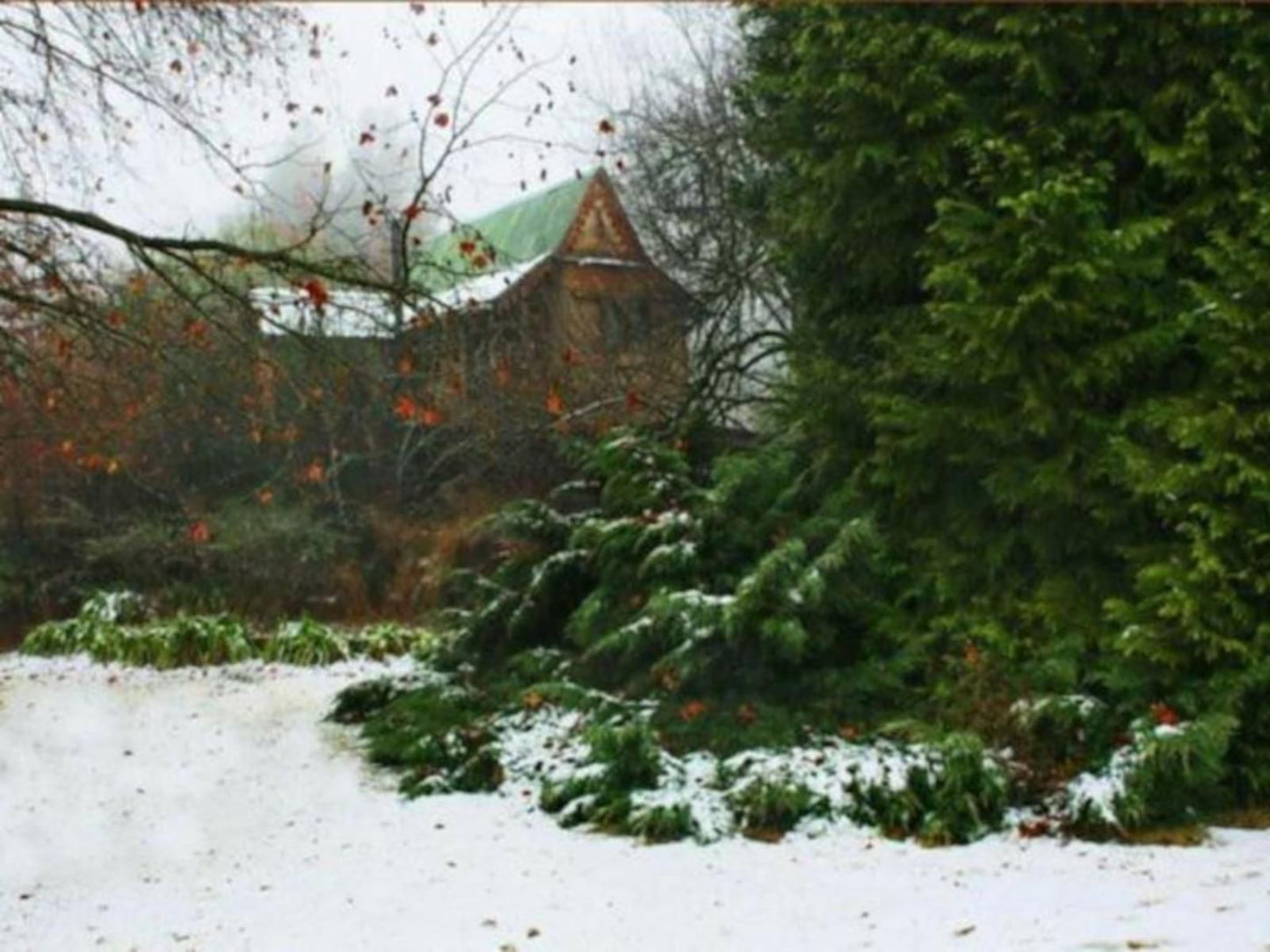 Sycamore Avenue Treehouses Mooi River Kwazulu Natal South Africa Nature, Snow, Winter