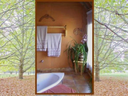 Sycamore Avenue Treehouses Mooi River Kwazulu Natal South Africa Bathroom