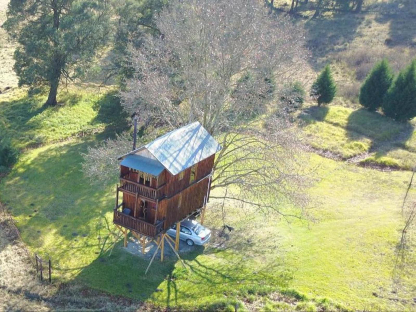 Sycamore Avenue Treehouses Mooi River Kwazulu Natal South Africa 