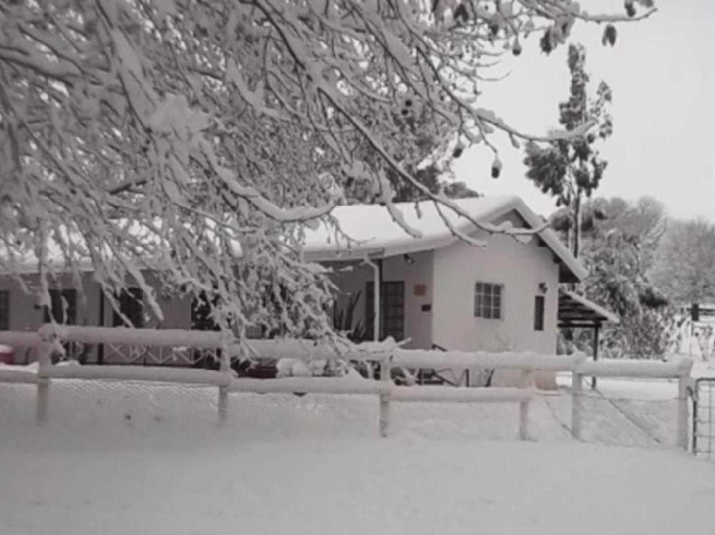 Sycamore Avenue Treehouses Mooi River Kwazulu Natal South Africa Colorless, Snow, Nature, Winter