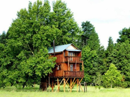 Sycamore Avenue Treehouses Mooi River Kwazulu Natal South Africa Building, Architecture, Cabin