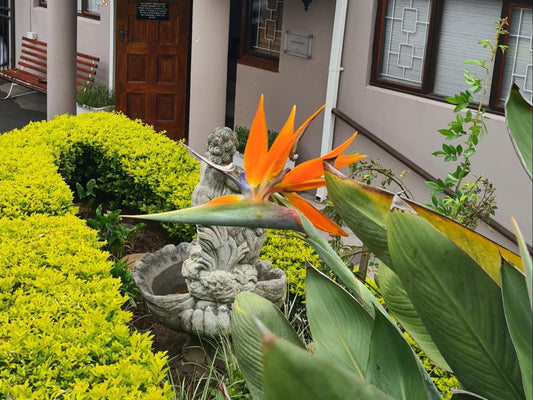 Sylvern Bed And Breakfast Westville Durban Kwazulu Natal South Africa House, Building, Architecture, Plant, Nature, Garden