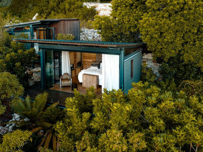 Synergy Treehouse, House, Building, Architecture, Garden, Nature, Plant