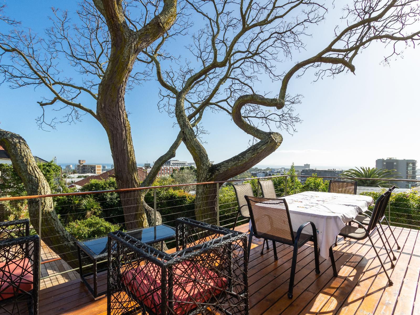 Syringa Tree Green Point Cape Town Western Cape South Africa Garden, Nature, Plant, Living Room