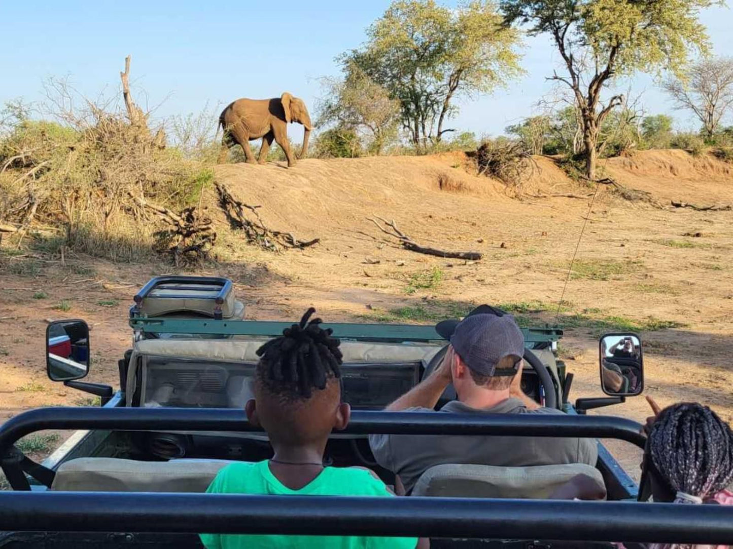 Taaibos Bush Lodge, Elephant, Mammal, Animal, Herbivore, Desert, Nature, Sand, Vehicle, Person