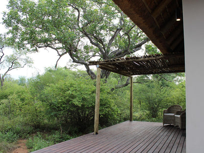 Taaibos Bush Lodge, Tree, Plant, Nature, Wood