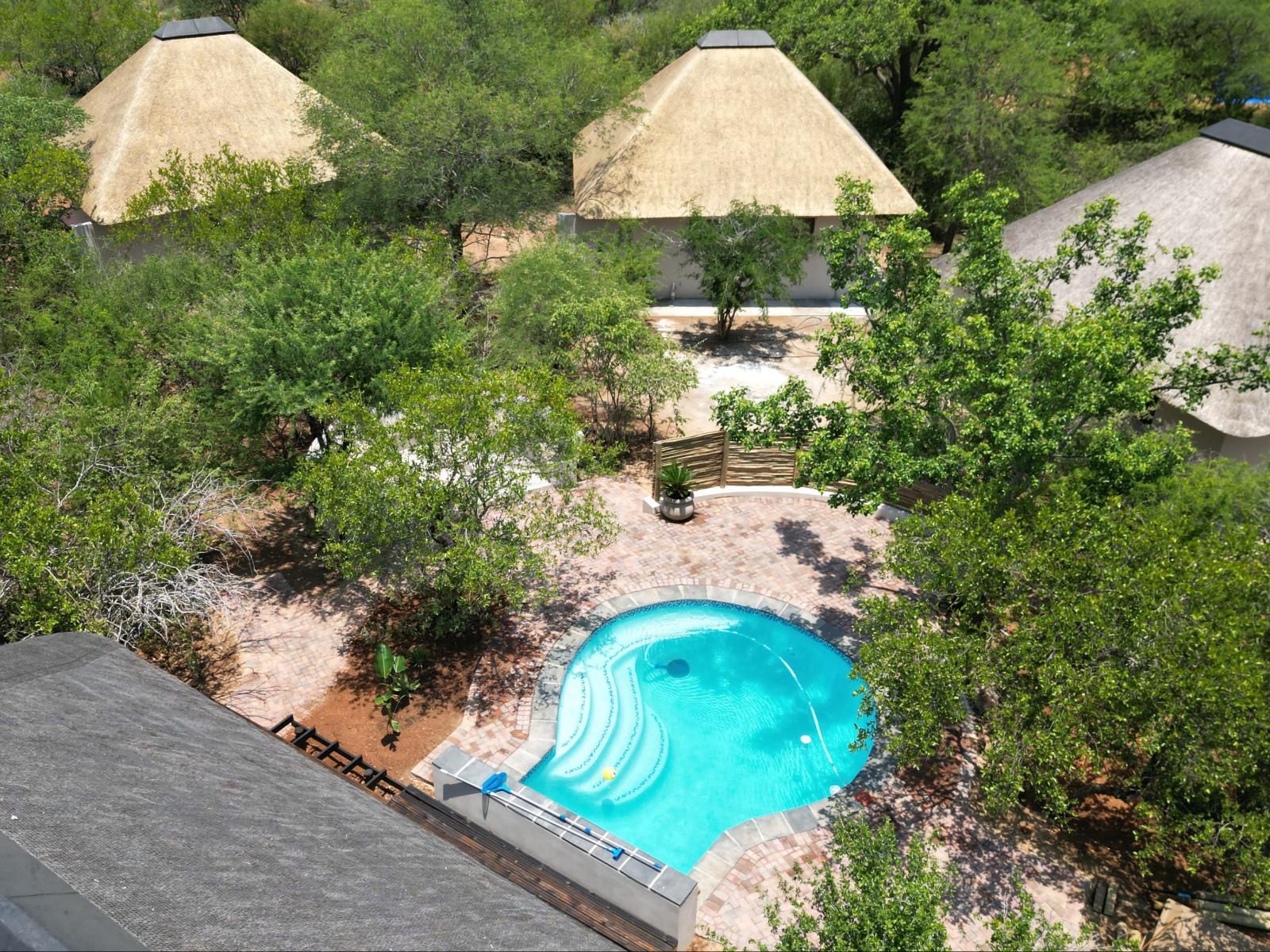 Taaibos Bush Lodge, Swimming Pool