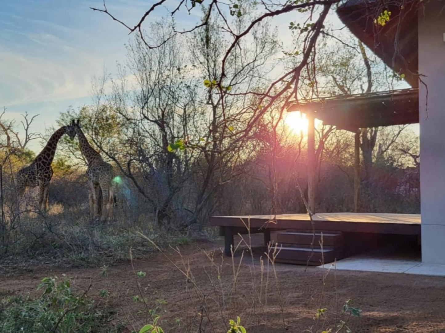 Taaibos Bush Lodge, Sunset, Nature, Sky