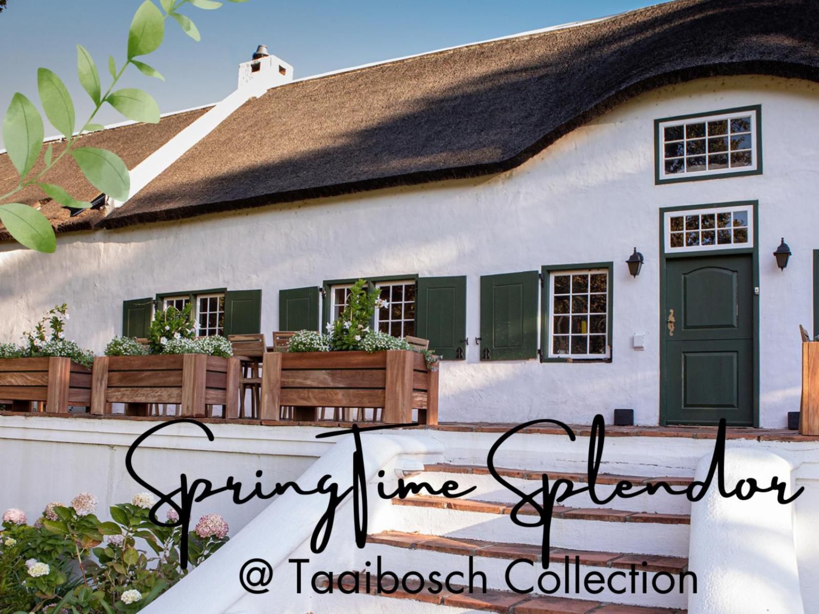 Taaibosch Collection, Garden Villa, Building, Architecture, Half Timbered House, House, Plant, Nature