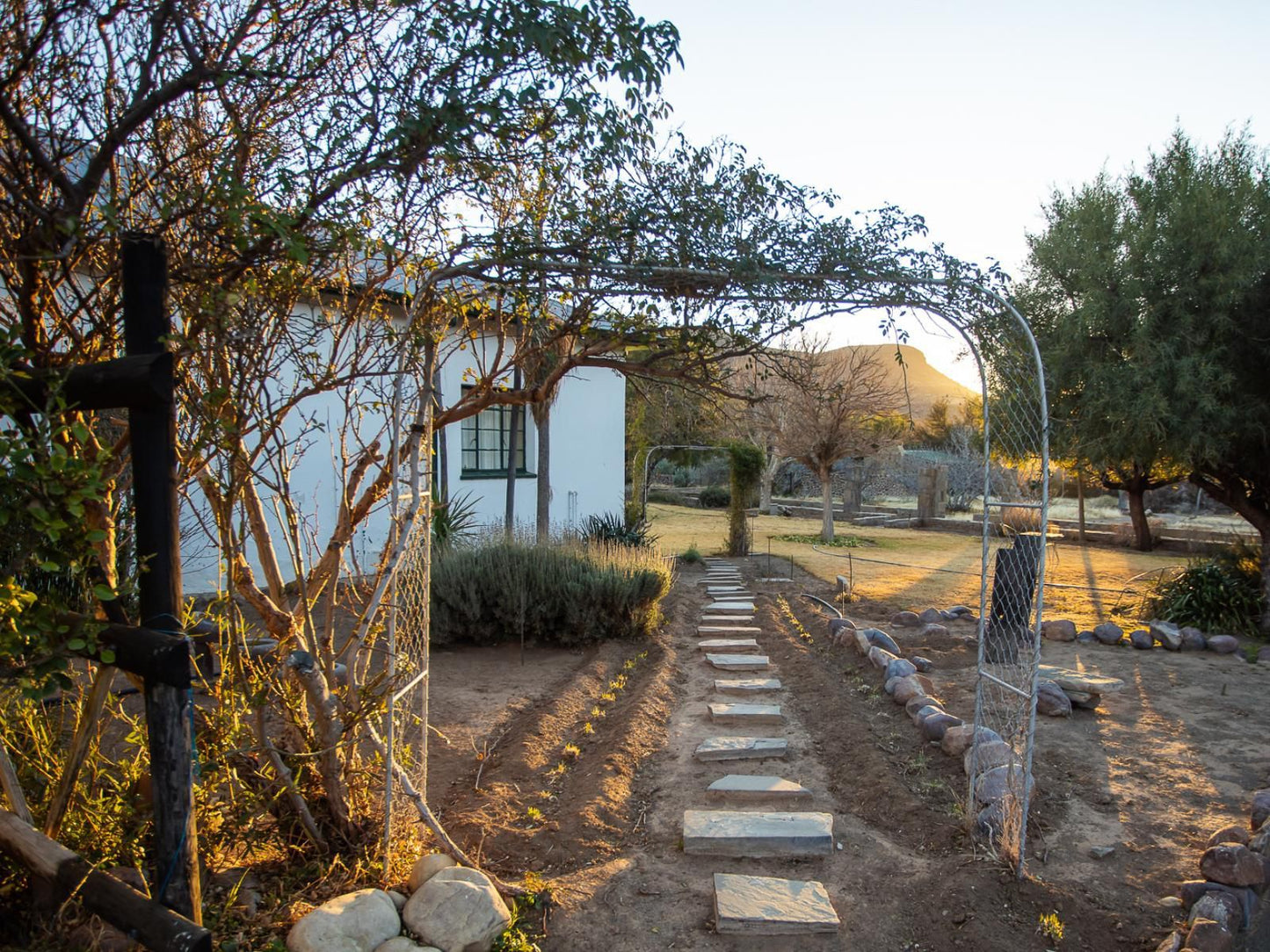 Taaiboschfontein