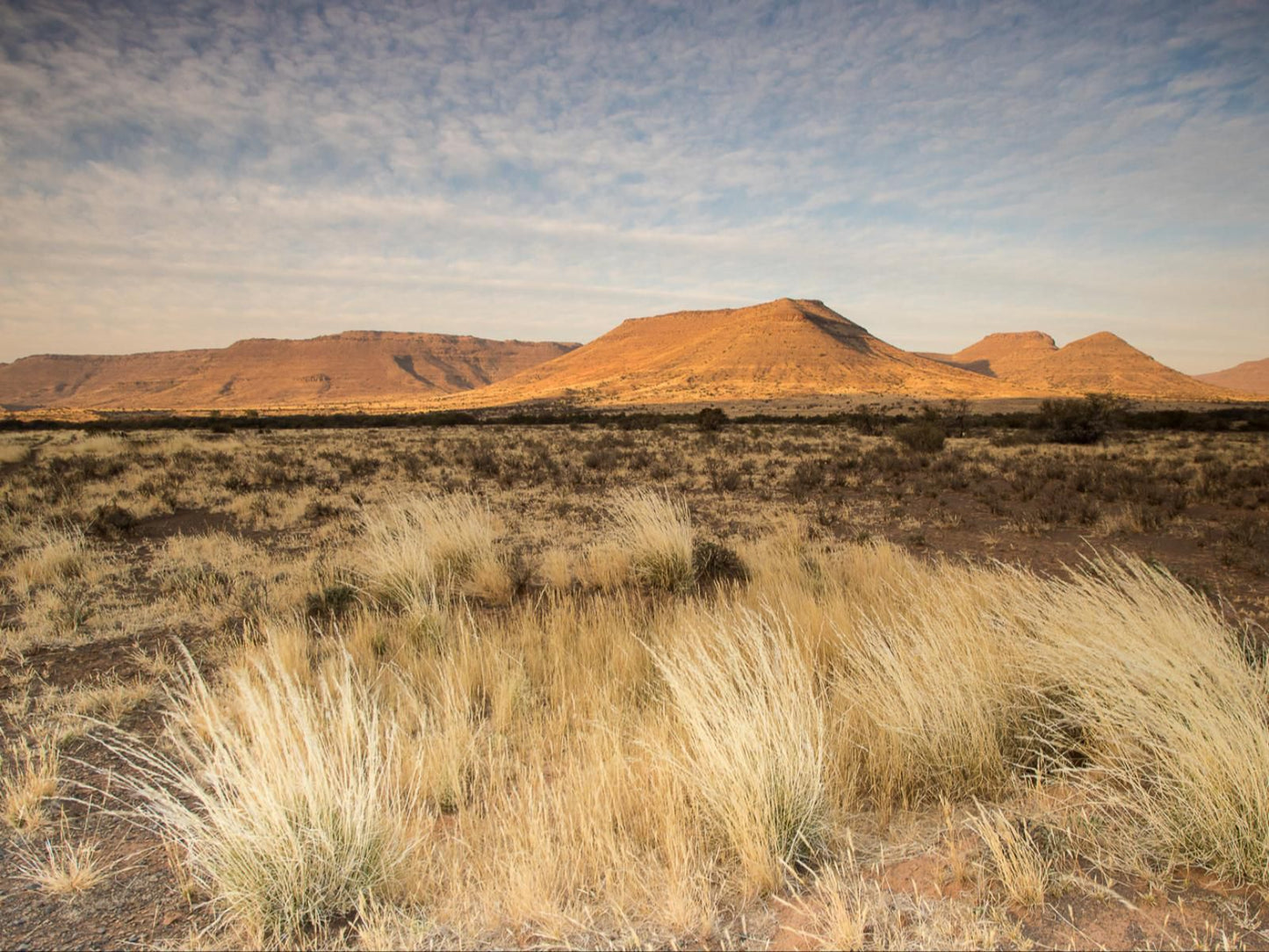 Taaiboschfontein, Desert, Nature, Sand