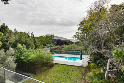 Table Mountain Retreat Oranjezicht Cape Town Western Cape South Africa Garden, Nature, Plant, Swimming Pool